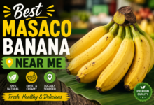 Best Masaco Banana Near Me