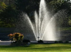 Floating Pond Fountain