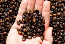 Coffee Beans