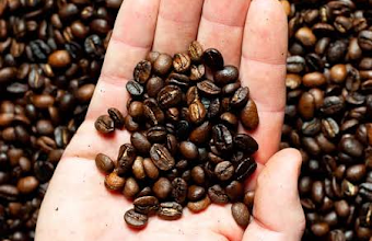 Coffee Beans