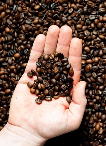 Coffee Beans